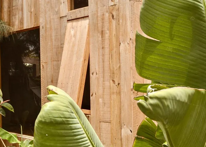 Surfescape Fuerteventura Couette-café