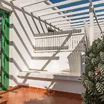 Surfescape Fuerteventura 4*