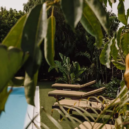 Surfescape Fuerteventura 4* لاجاريس