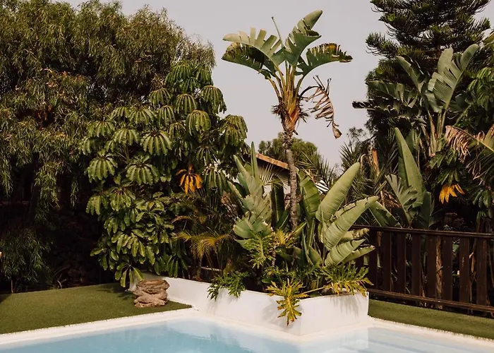 Bed & Breakfast Surfescape Fuerteventura 4*