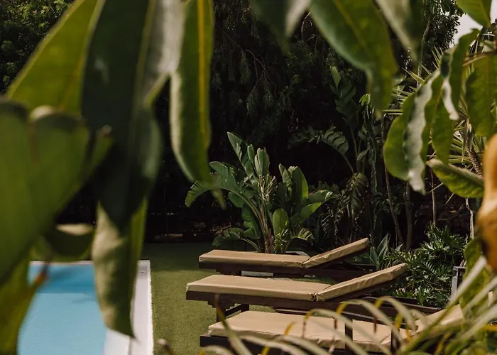 Surfescape Fuerteventura 4* لاجاريس